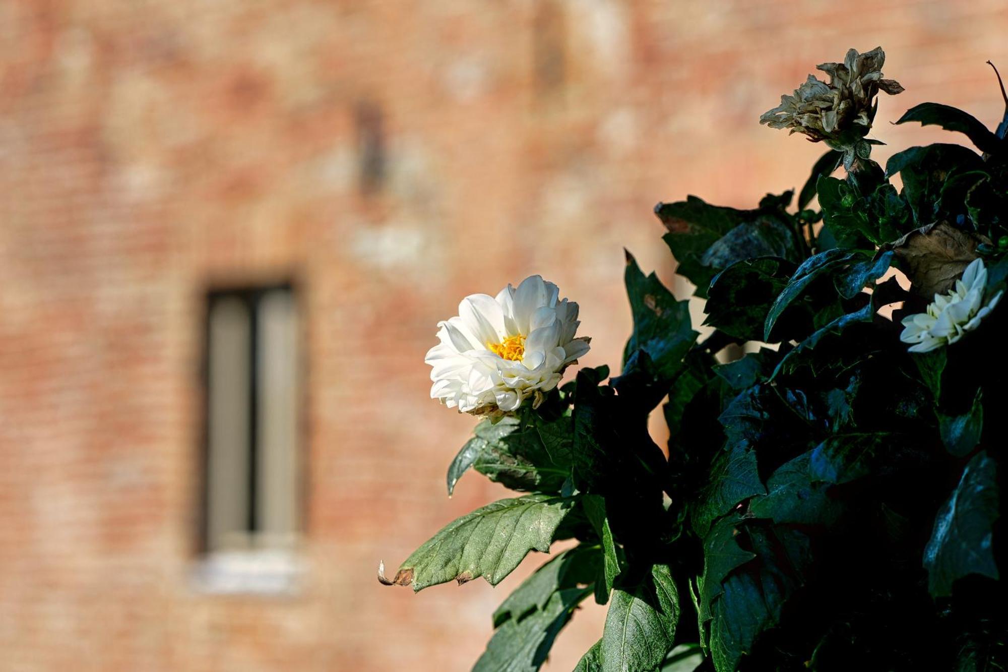 Viavai Bed & Breakfast Casalborgone Dış mekan fotoğraf